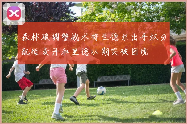 森林狼调整战术将兰德尔出手权分配给麦丹和里德以期突破困境